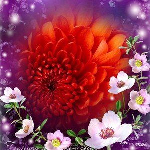 Meet your Posher, Norma